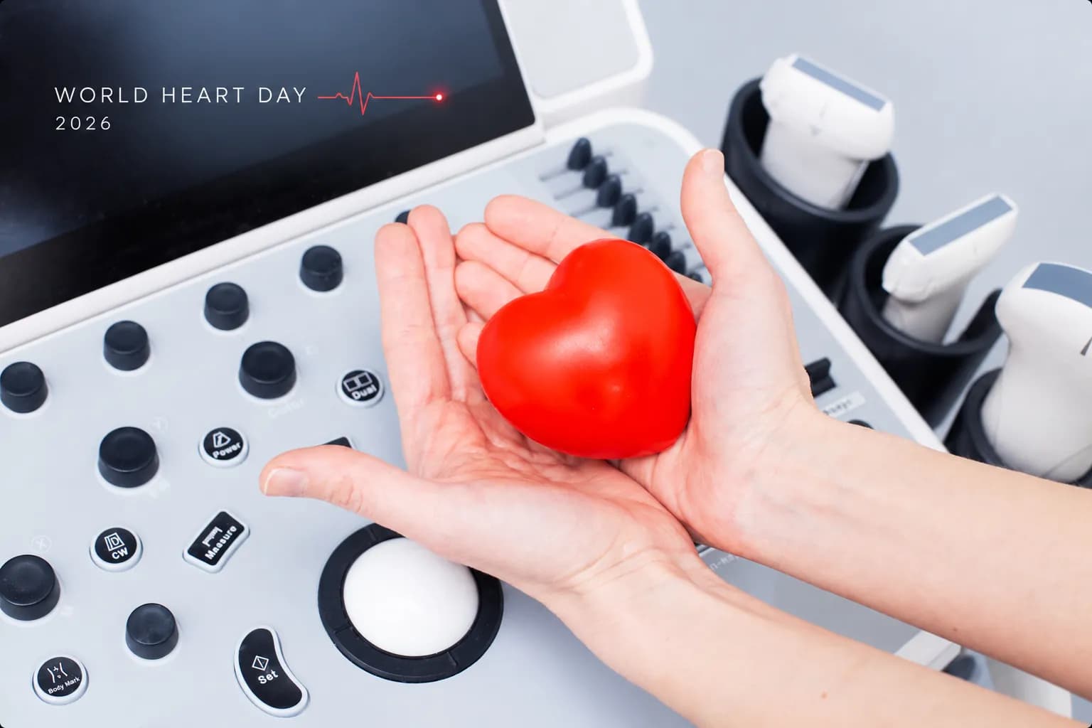 World Heart Day cardiac transducer