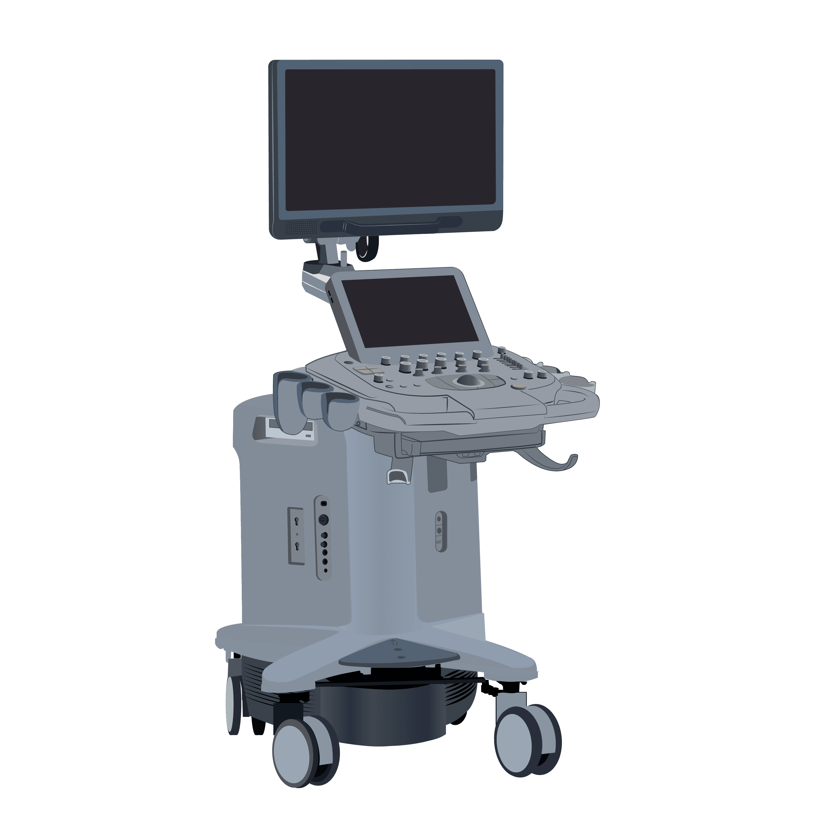 Acuson S1000 Vet