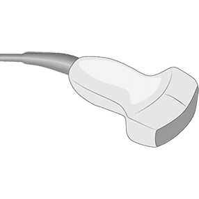 rC60xi