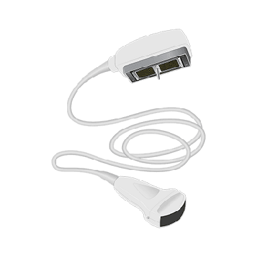 C344