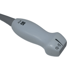 rP19x