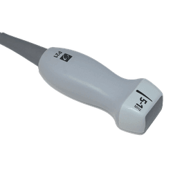 P21xp