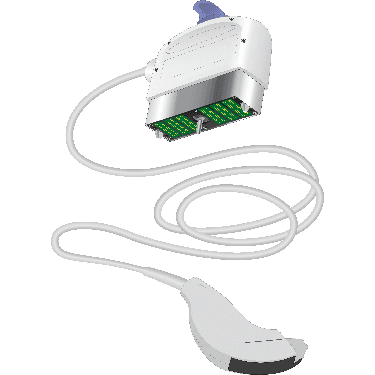 C2-6b-D