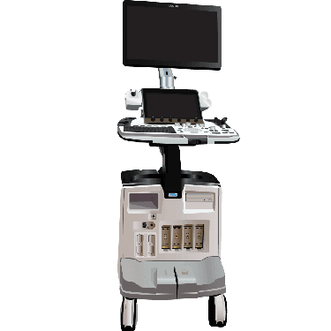 Logiq E10 R1.x.x