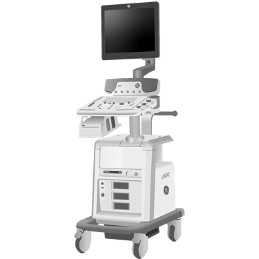 Logiq P5 R1.0.x