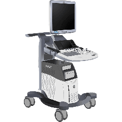 Logiq S8 R4.2.5x