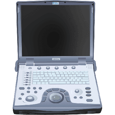 Vivid e R5.0.x