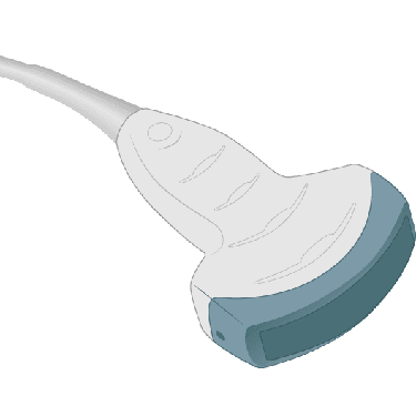 C4-8-D