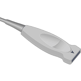 L25x