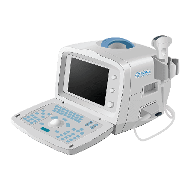 DP-11