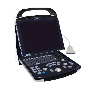 DP-25