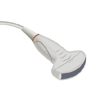 C5-2E