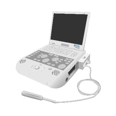 Acuson P300