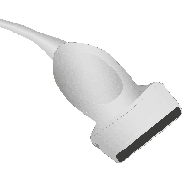 15L8W