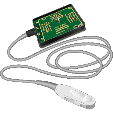 C11xp