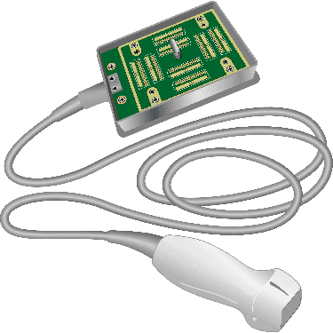 rP19x