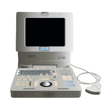 SonoAce Pico