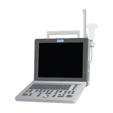 SonoAce R3