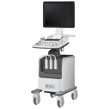SonoVet pico