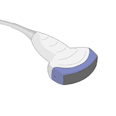 CS1-4