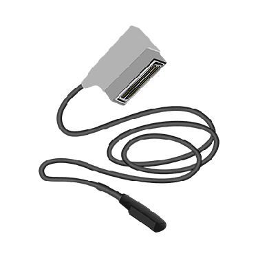 L561V