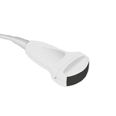 C344