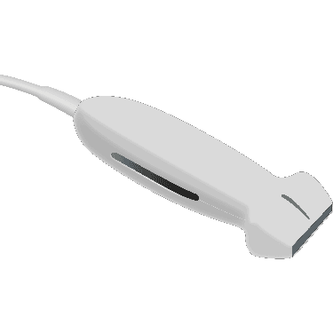 L38v
