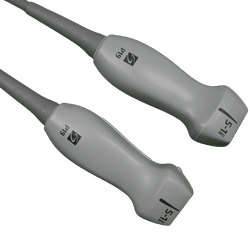 rP19x