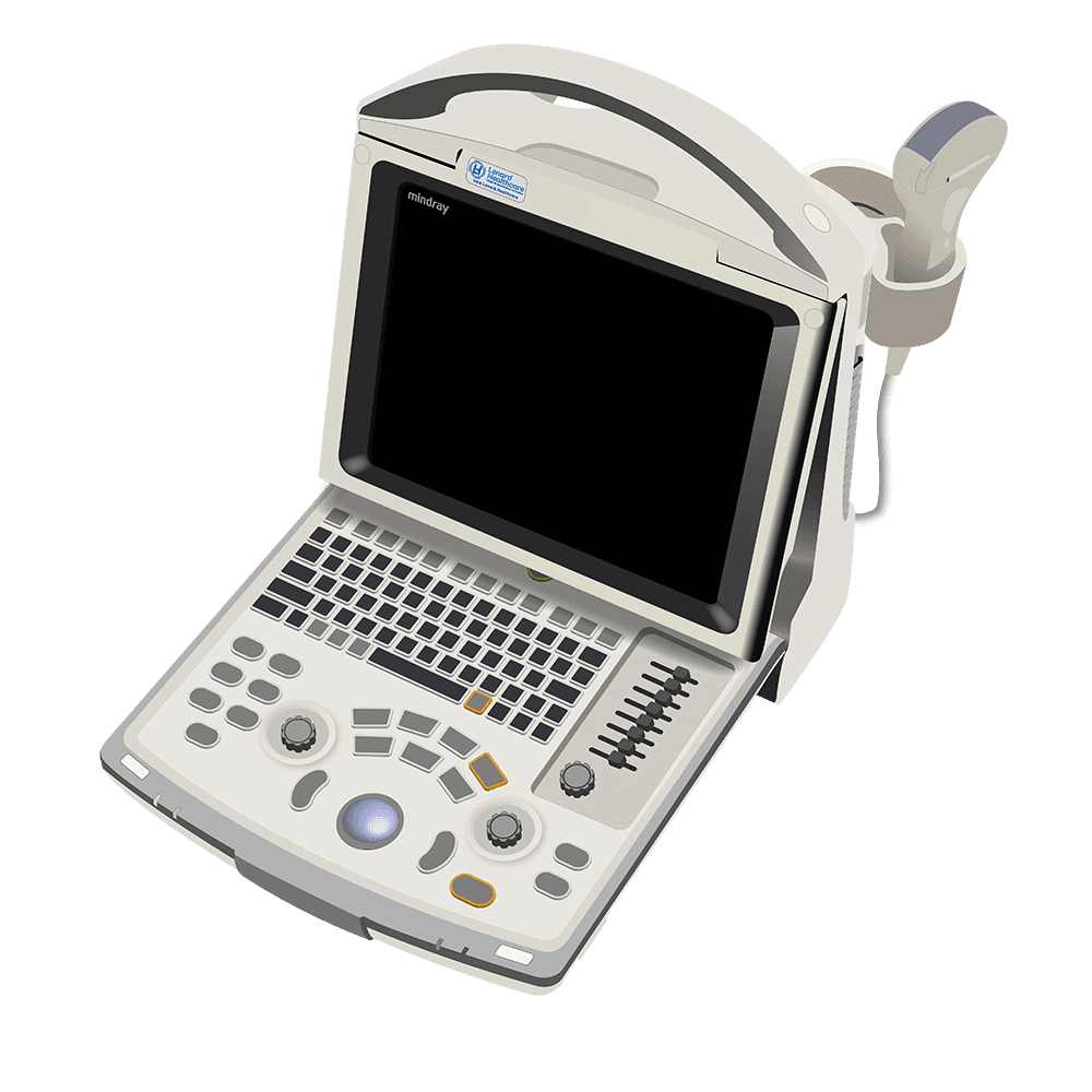 Z5 T Z5 T