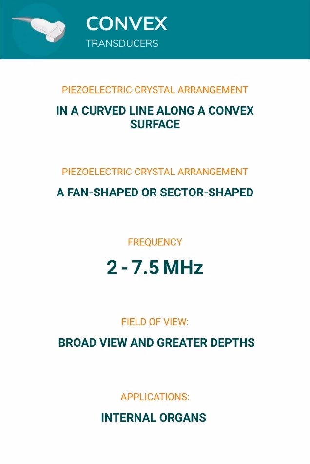 Convex probe details