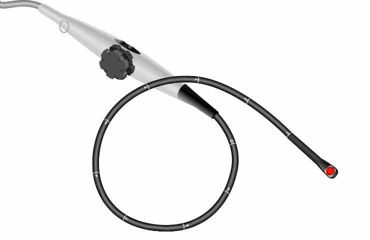TEE Transducers