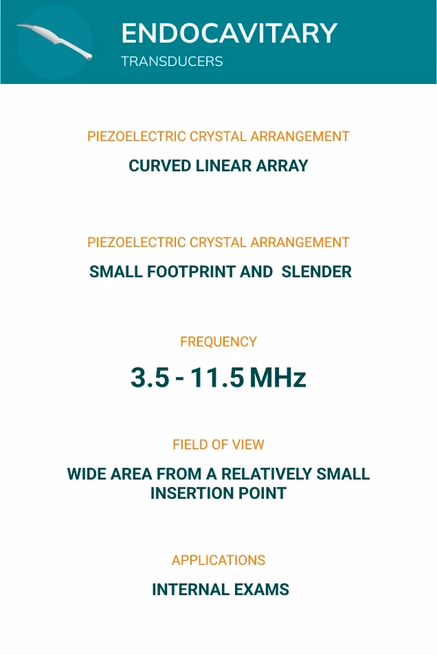 Endocavitary probes details
