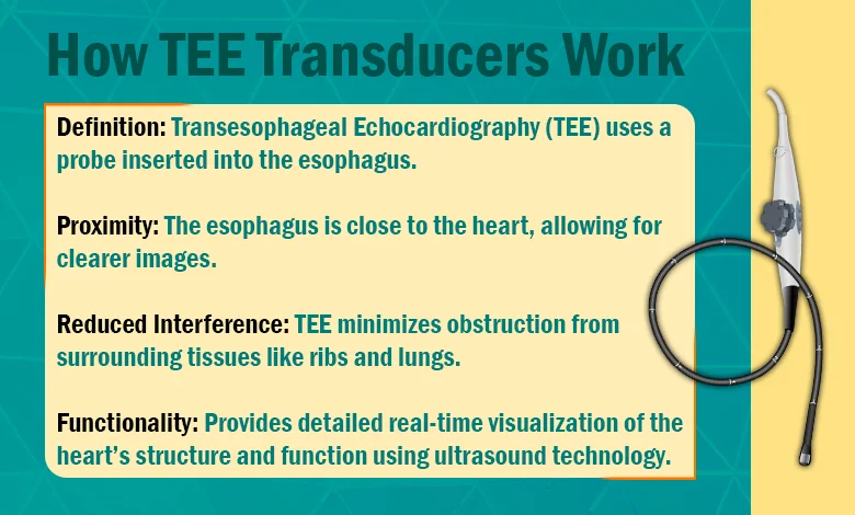 How Do TEE Transducers Work?