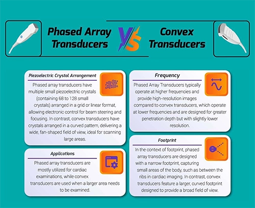 Phased Array Transducers Vs. Convex Transducers