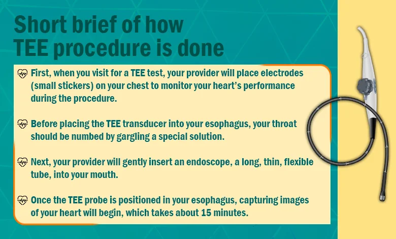 Short brief of how the TEE procedure is done