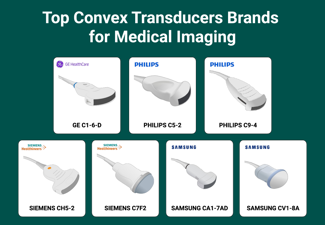 Top Convex Transducers Brands for Medical Imaging