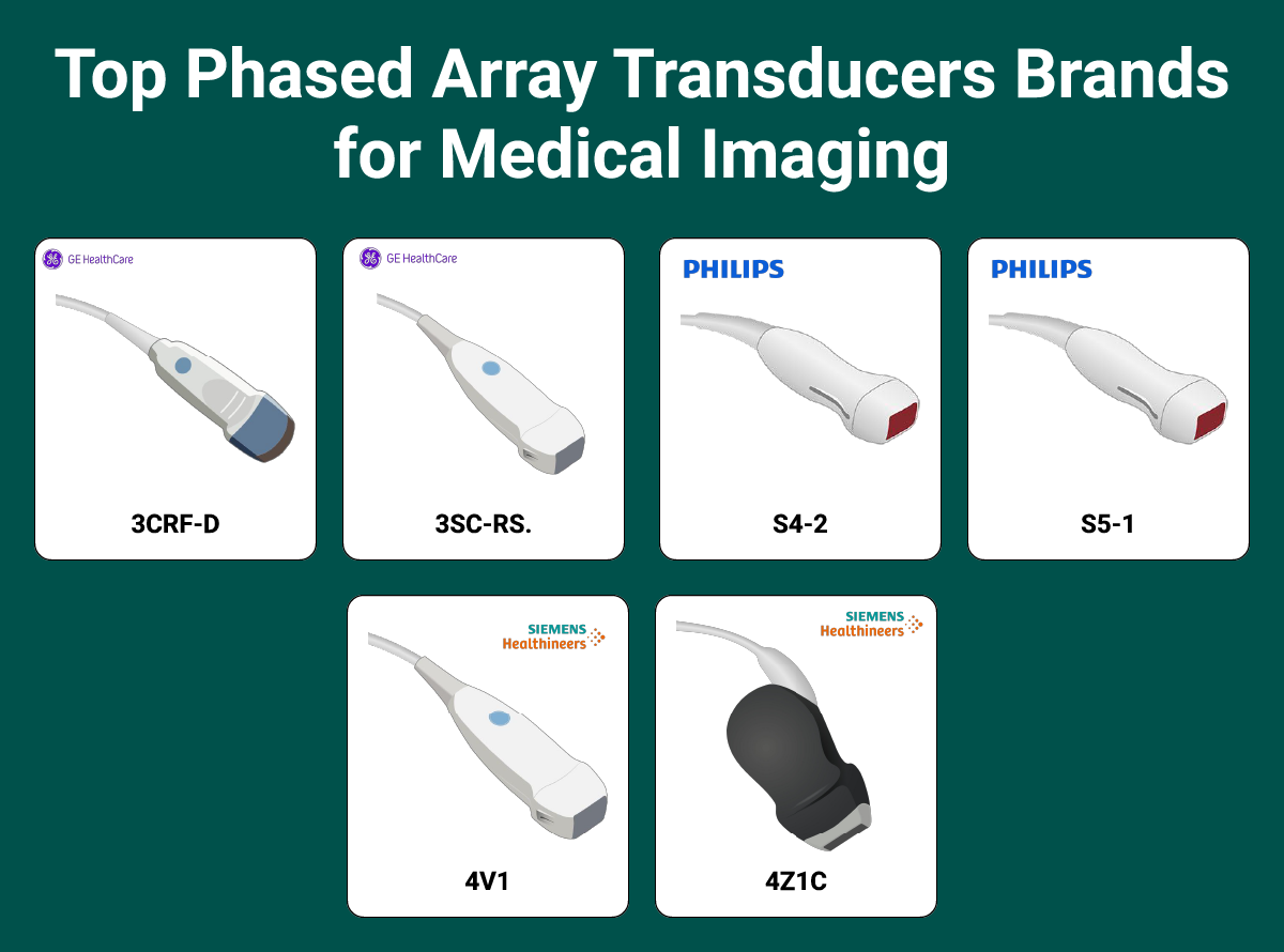 Top Phased Array Transducers Brands for Medical Imaging