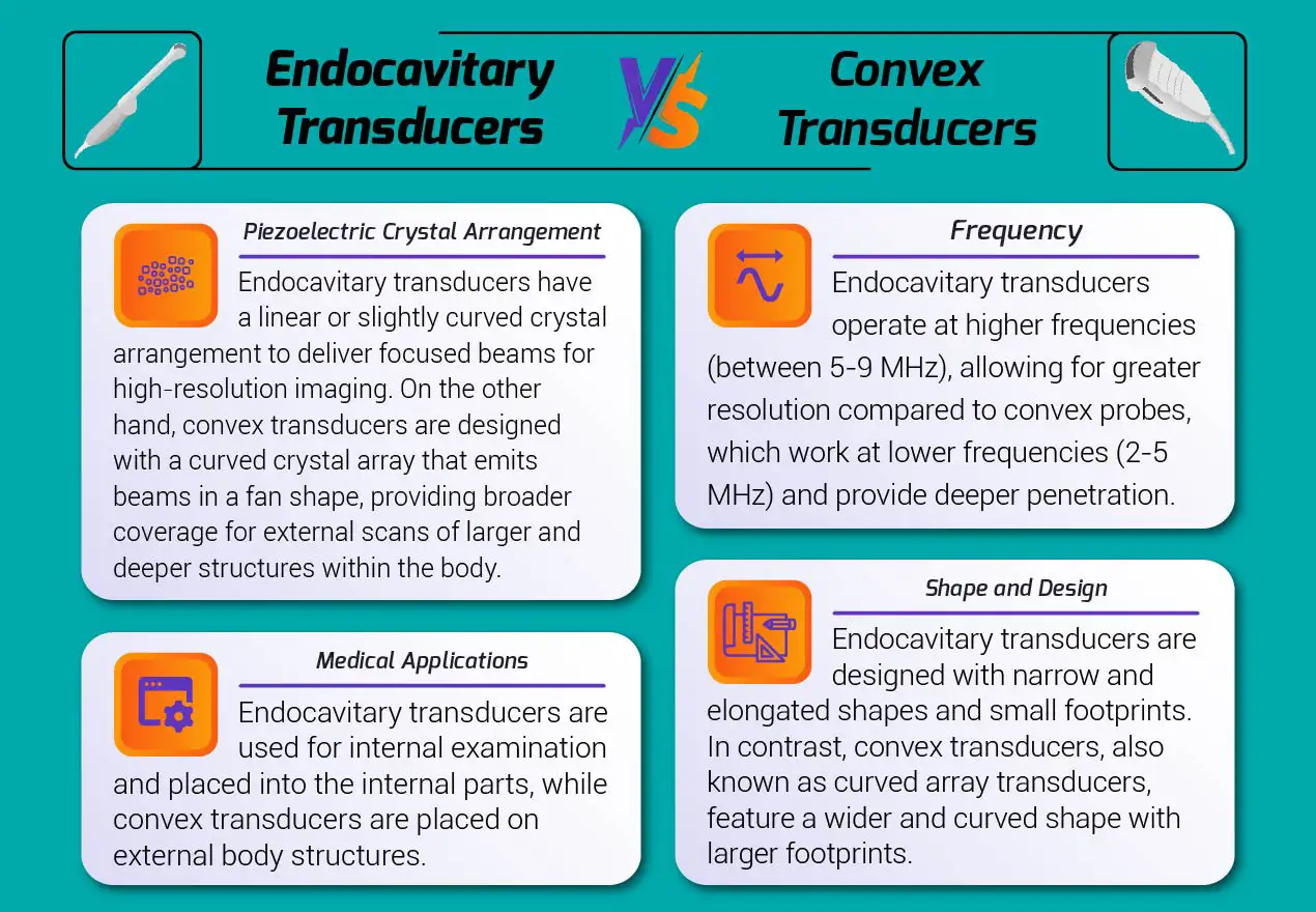 Endocavitary Transducers vs Convex Transducers