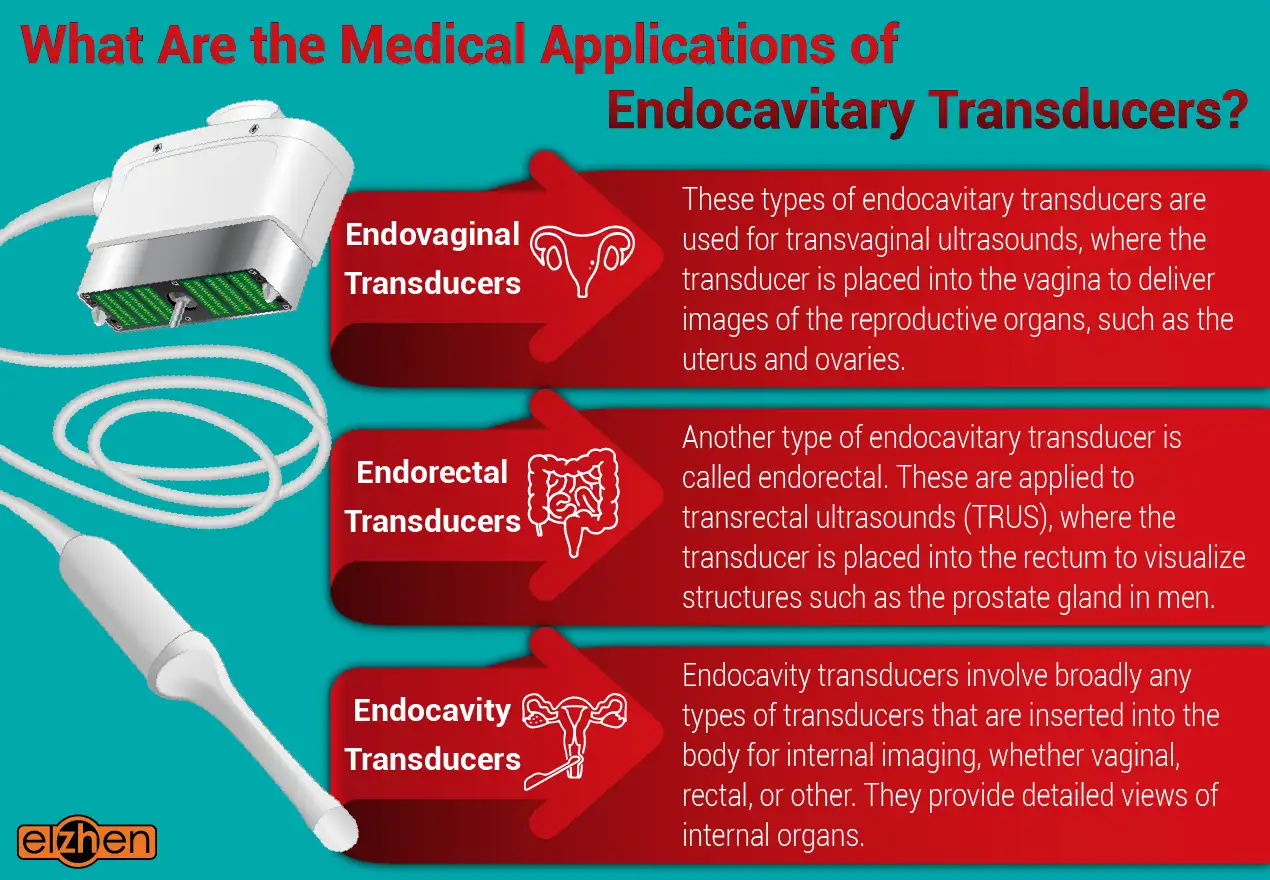 Medical Applications of Endocavitary Transducers