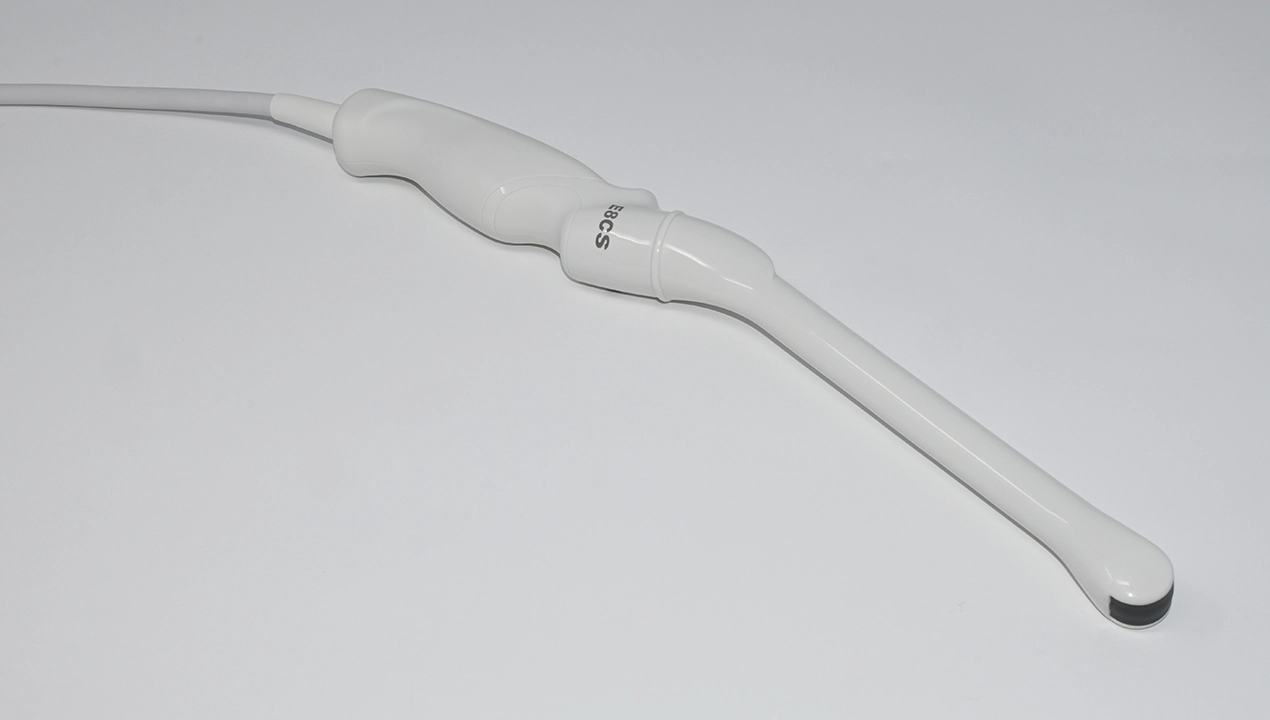 What Is an Endocavitary Transducer