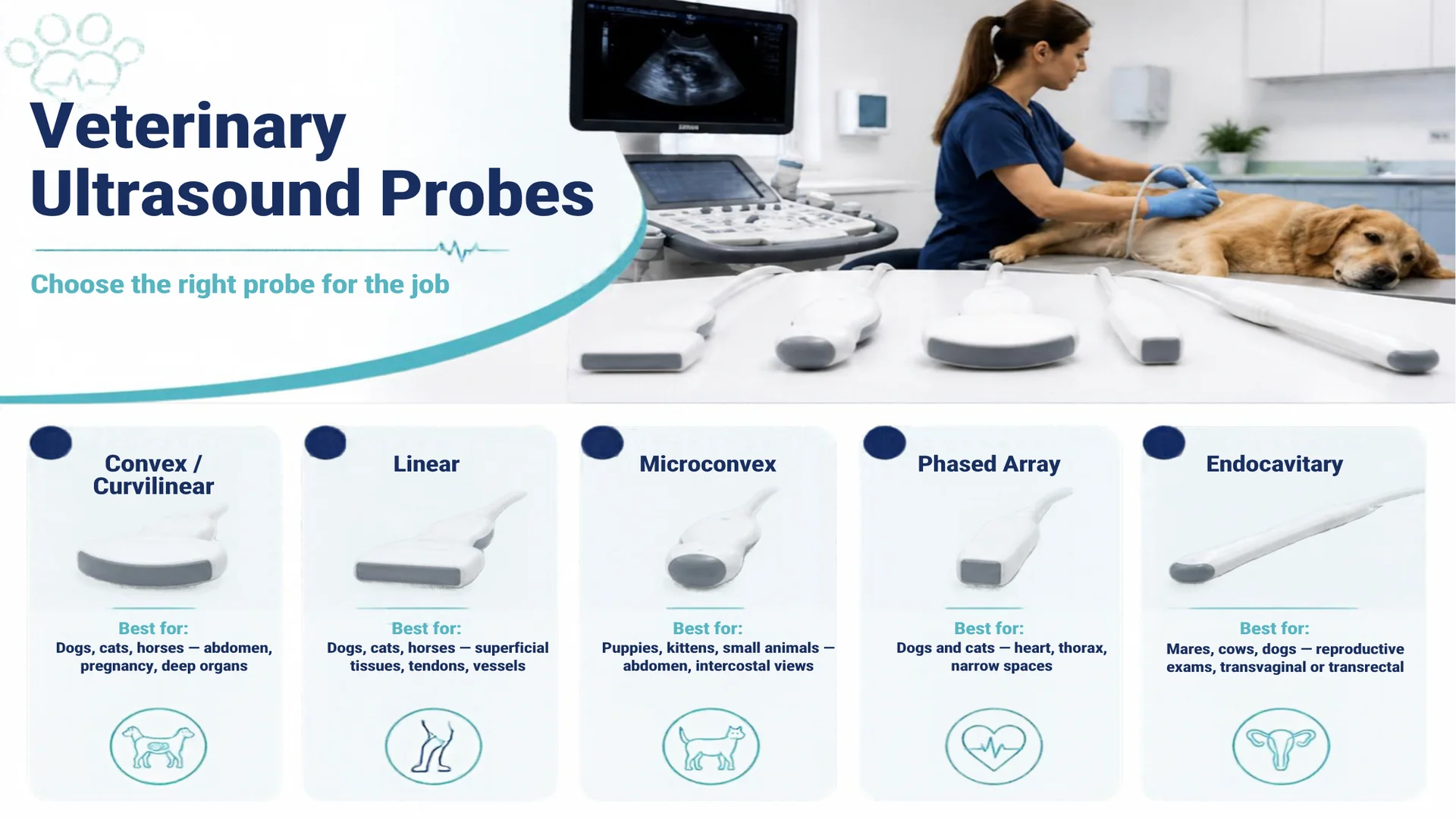 Veterinary probes explanations for each array type